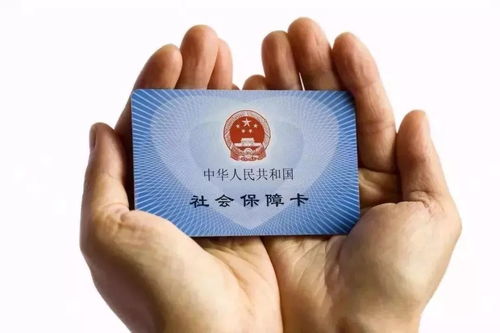 石河子人注意 社保卡 驾驶证 身份证,又传出了大消息