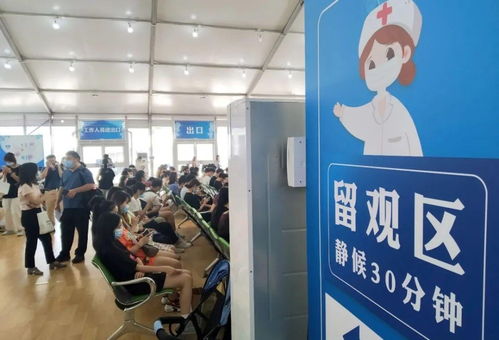 肇庆医保 为全民免费接种新冠疫苗保驾护航