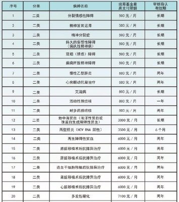 广州医保二类门诊特定病种目录(附待遇标准)